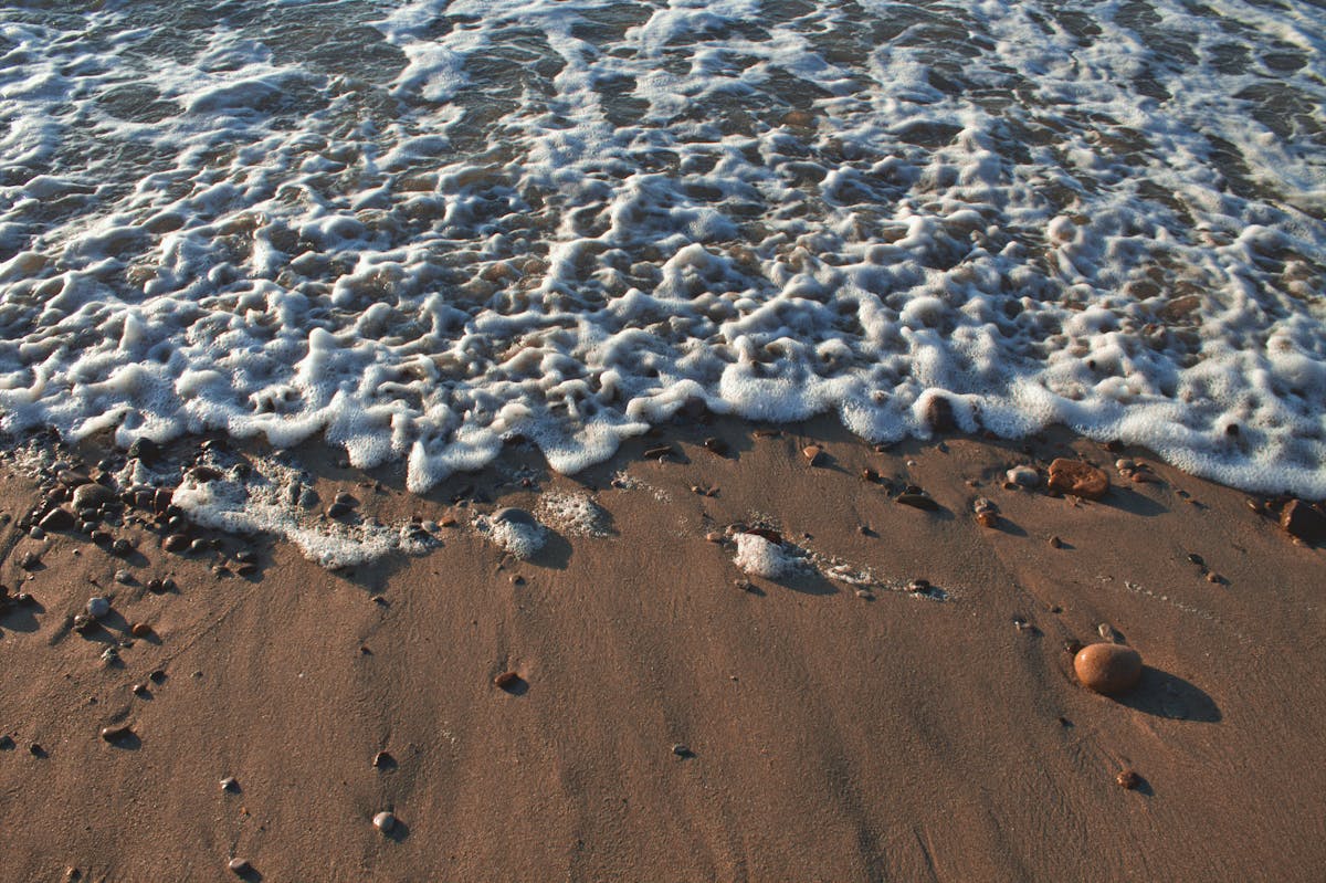 Beach pebbles and shells on Seaham beach