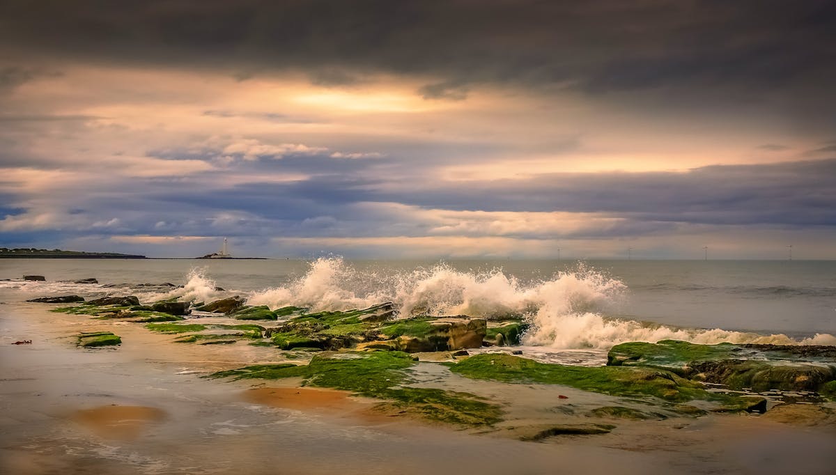 Waves on the North Sea coast